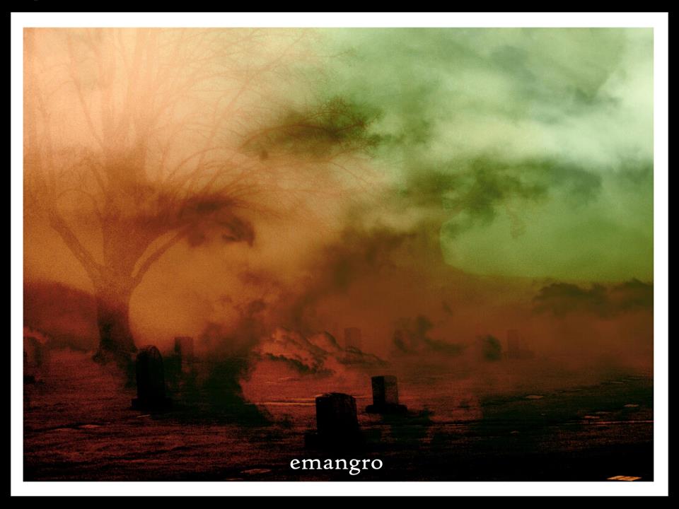 295438_10151367801957440_1908371259_n